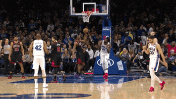 Celebrate Regular Season GIF by NBA