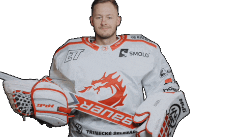 Trinec Sticker by HC Oceláři Třinec