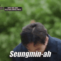 Jimin3514 Hyunjin Felix Straykids Skz Kpopgif Fan GIF