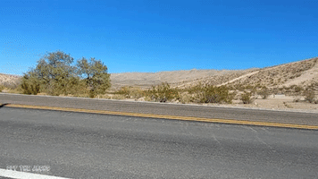 ford trucks GIF by Off The Jacks