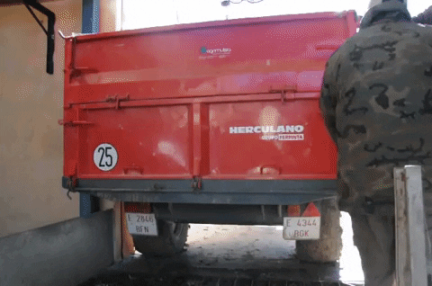 oaselleda giphygifmaker GIF