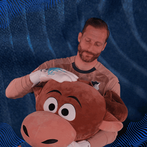 Sport Bundesliga GIF by TSG Hoffenheim