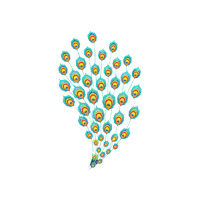 Peacock Sticker by AAU Student Council