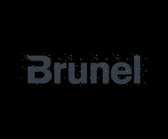 BrunelNederland specialist brunel detachering werving GIF