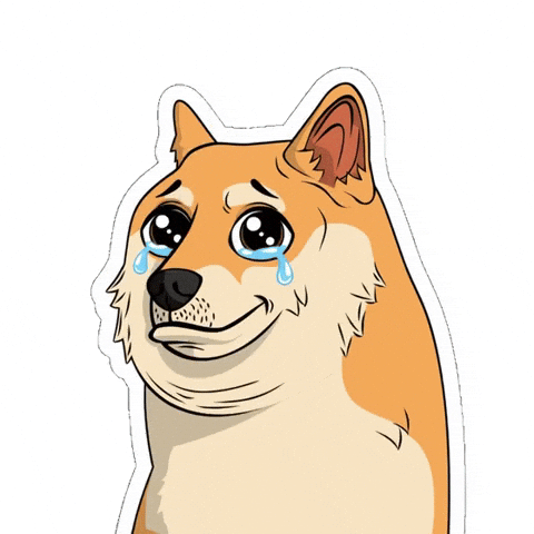 Sad Tears GIF by Doge Pound