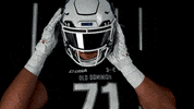 Old Dominion Sport GIF by ODU Football