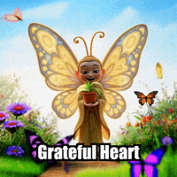 Gift Gratitude GIF by BuddhaFlyJourney