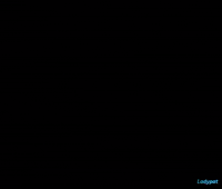 flash lightning GIF by ladypat