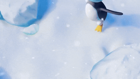 Run Away Polar Bear GIF by Pokémon