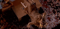 Beyonce The Grammys GIF by Recording Academy / GRAMMYs