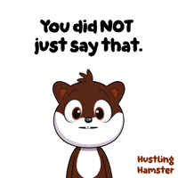 Hamster No GIF by VeeFriends