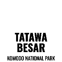 Tatawa Sticker by Dragon Dive Komodo