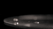 GIF by University of Rochester