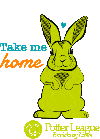Adopt Take Me Home Sticker by Potter League