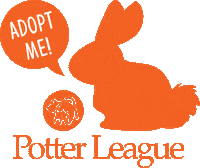 Adopt Take Me Home Sticker by Potter League
