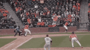 BeaverBaseball baseball ncaa grand slam oregon state GIF