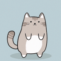 Cat Scanning GIF by MESA My Emotional Support Animal