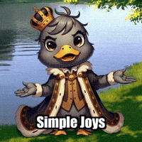 Simple Joys Gratitude GIF by sirduckbeth