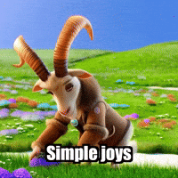 Simple Joys Gratitude GIF by Radiantelope