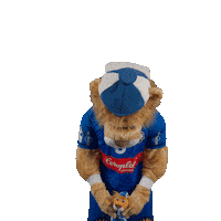 Handball Mascot Sticker by bergischerhc06
