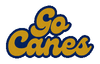 Hurricanes Canes Sticker by Georgia Southwestern State University
