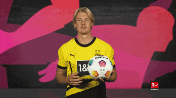 Borussia Dortmund Spinning GIF by Bundesliga