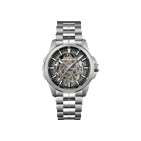 norqainwatches skeleton watches norqain Sticker