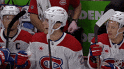 Happy Montreal Canadiens GIF by NHL