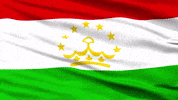 Central Asia Flag GIF