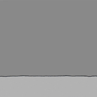happy birthday GIF by Chippy the Dog