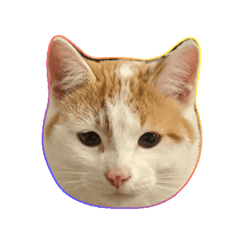 meowparlour  Sticker