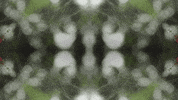 Art Love GIF by jorgemariozuleta