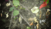 Art Film GIF by jorgemariozuleta