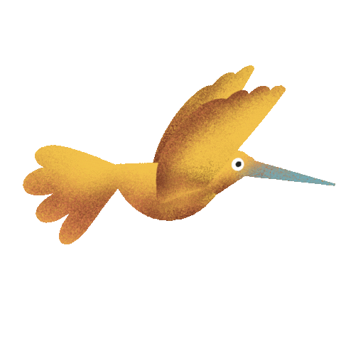 Teresina Sticker by festivalgirasol