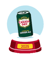 Snow Globe Sticker by Canada Dry Ginger Ale
