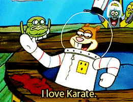 spongebob squarepants karate GIF