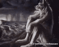 Alpha Wolf GIF