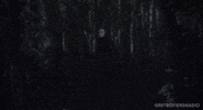 Martial Arts Cinema GIF by RETRO-FIEND