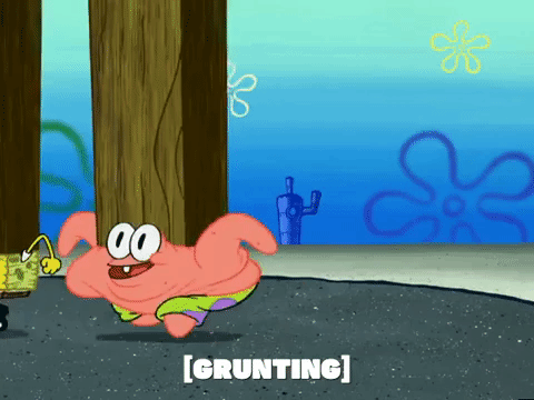 season 5 episode 6 GIF by SpongeBob SquarePants