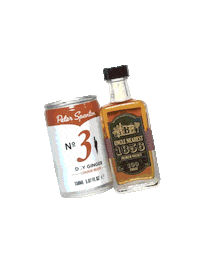 Summer Travel Sticker by peterspanton