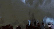 Bob Fosse Dancers GIF by TIFF