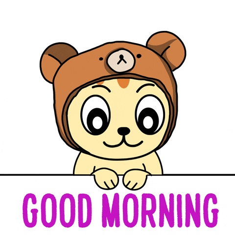 Good Morning Bear GIF by My Girly Unicorn - Find & Share on GIPHY
