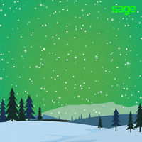 GIF by Mo HQ