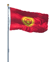 Flag Kyrgyzstan Sticker by GrapplingKGZ