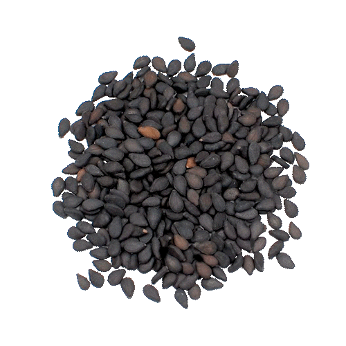 Byoode giphyupload Sticker