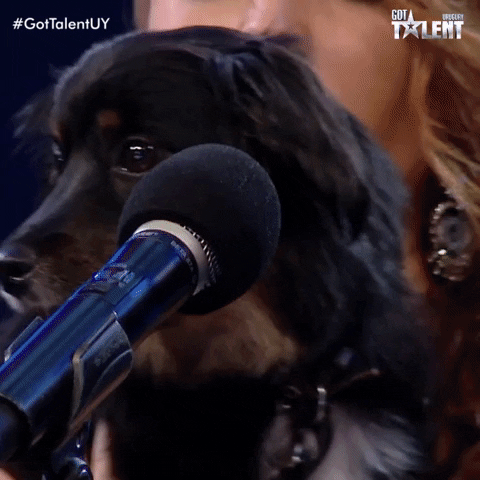 Gottalentuy GIF by Canal 10 Uruguay