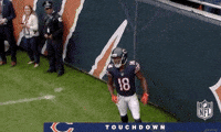 2018 Nfl Football GIF by NFL