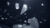 ElefanteStudio  GIF