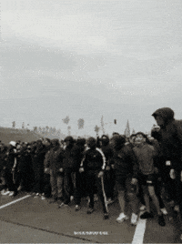 Pipa Persib GIF