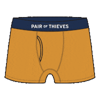 Underwear Trunks Sticker by Pair of Thieves